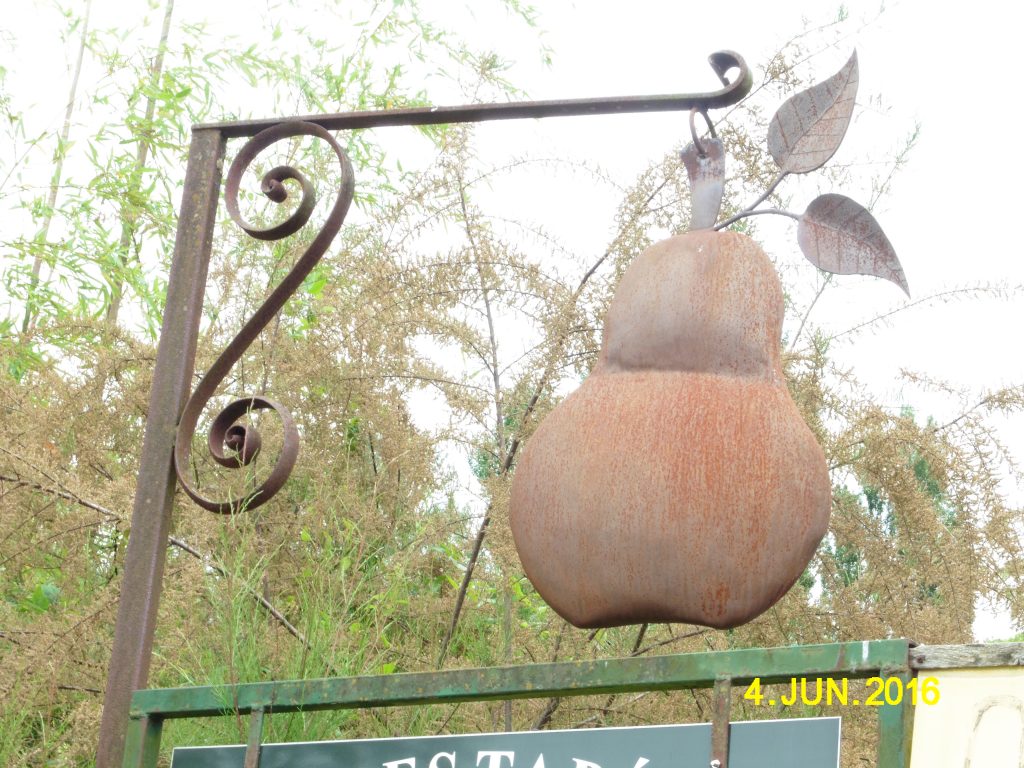 P1010337